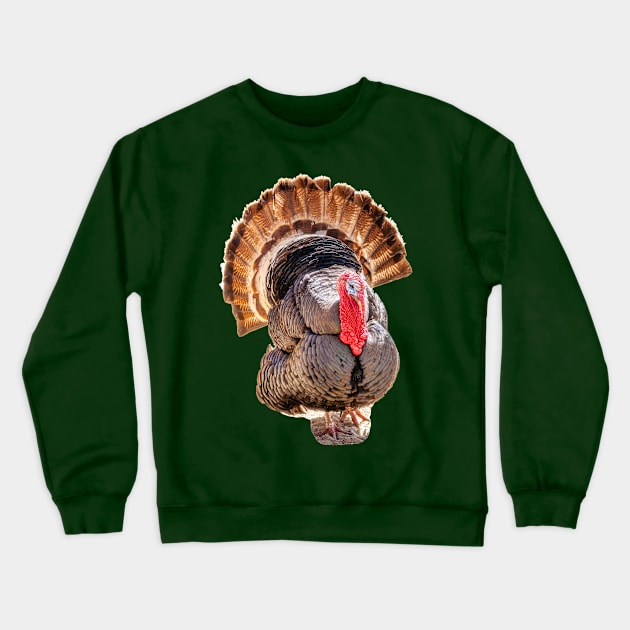 Tall Turkey tails Crewneck Sweatshirt by dalyndigaital2@gmail.com